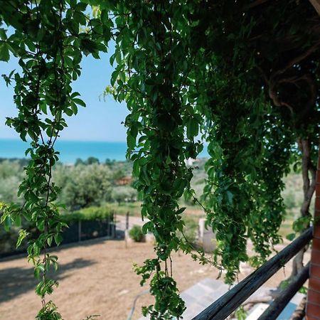 Villa Aiolos Aleksandropolis Zewnętrze zdjęcie